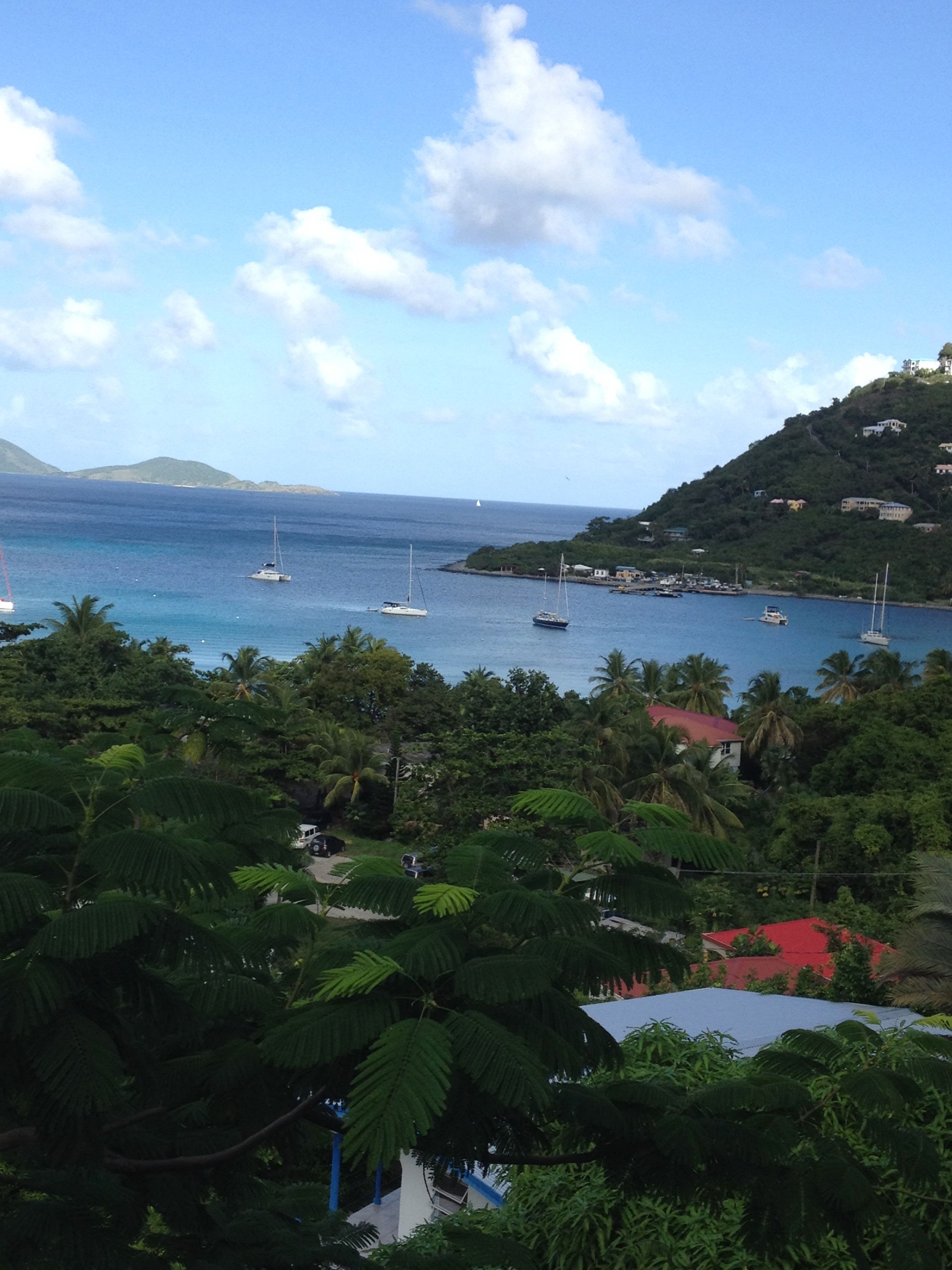 bvi view | Sapsucker Farms