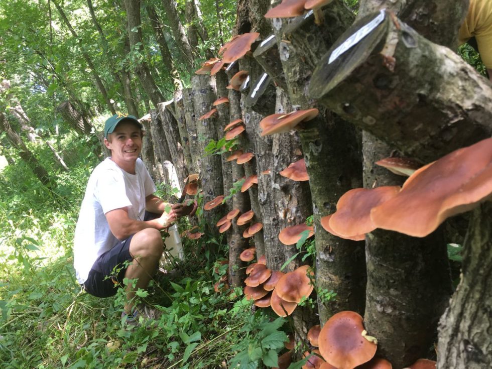 Joe with mushrooms