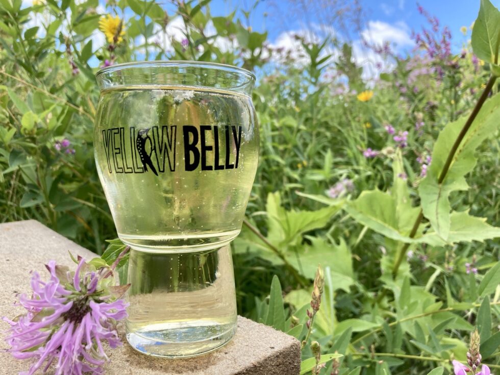 glass of cider with wildflowers